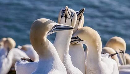 DB电竞官网下载-云开体育：云端驱动的运动生态新纪元